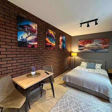 Apartamenty 1 Maja 94 Κατοβίτσε Εξωτερικό φωτογραφία